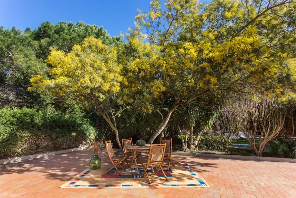 Alojamento de Turismo Rural Le Mimose