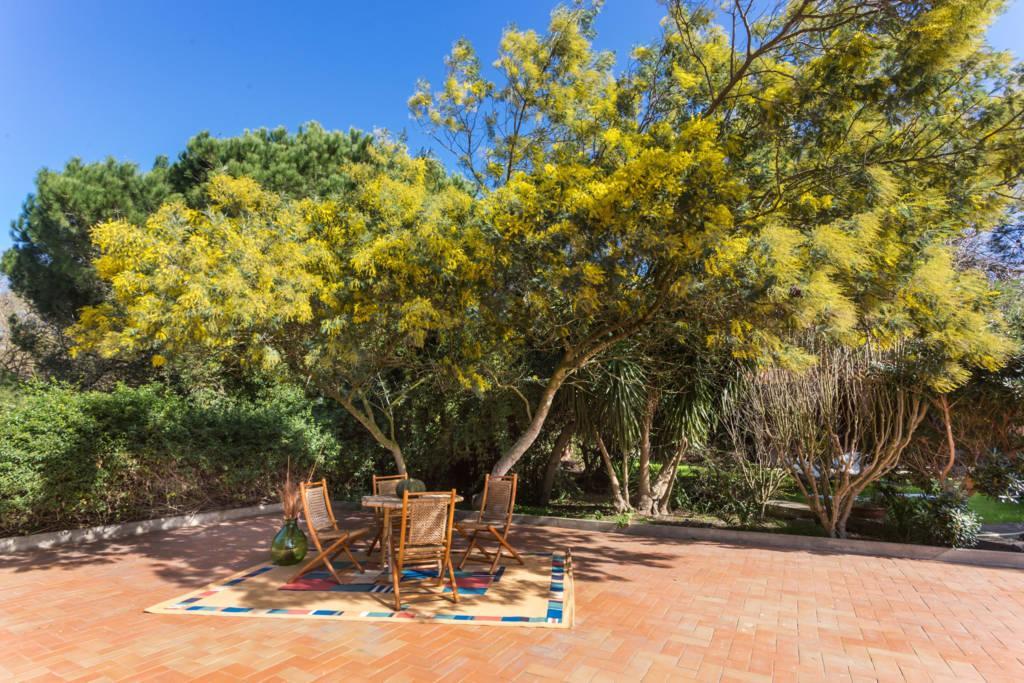 Alojamento de Turismo Rural Le Mimose Arborea